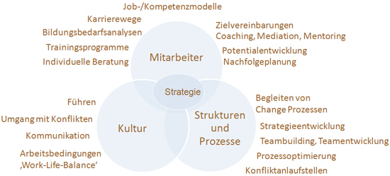 Job-/Kompetenzmodelle